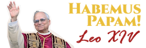 Habemus Papam, Leo XIV!